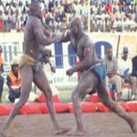 tyson b52 amoul serar 